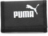 Puma denarnica